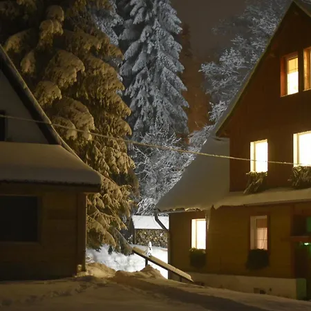 Apartment Lesne Zieleniec (Klodzko)