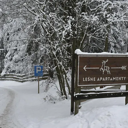 Lesne Apartment