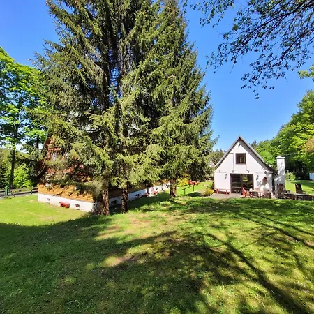 Lesne Apartamento Zieleniec (Klodzko)