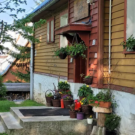 Lesne 지엘레니에츠