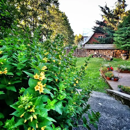 Apartament Leśne W Strażnicy *