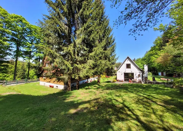 Leśne Apartament Zieleniec (Klodzko)