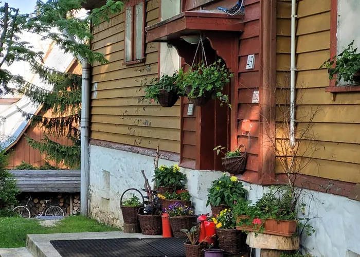 Leśne Zieleniec (Klodzko)