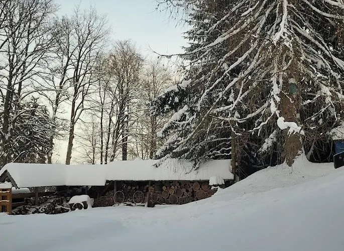 Apartament Leśne Zieleniec (Klodzko)