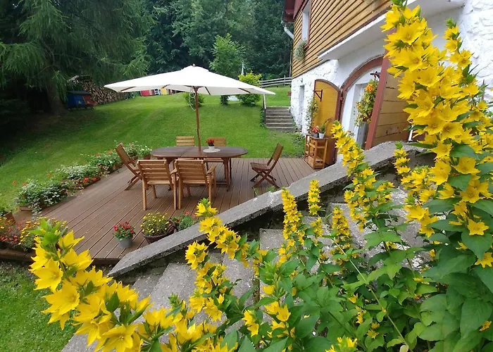 Apartament Leśne *